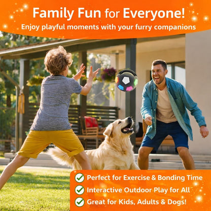 Durable Toy for Your Pet: Say Goodbye to Broken Toys Forever!