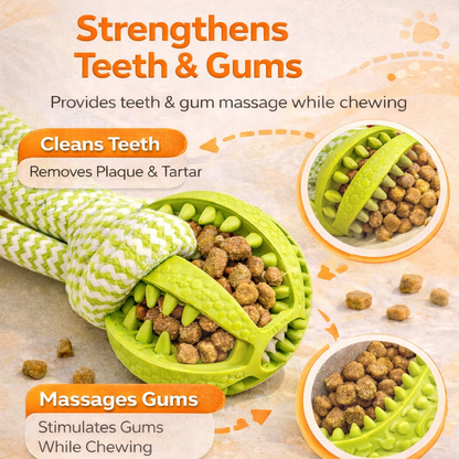 The Toy That Keeps Your Dog Busy, Calm — And Cleans Teeth at the Same Time