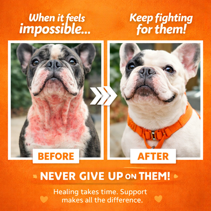 Clean Your Pet in 30 Seconds — No Bath, No Stress, No Smell