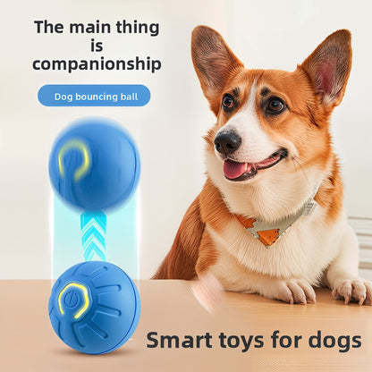 Electric Dog Ball - Self-Rolling Pet Toy