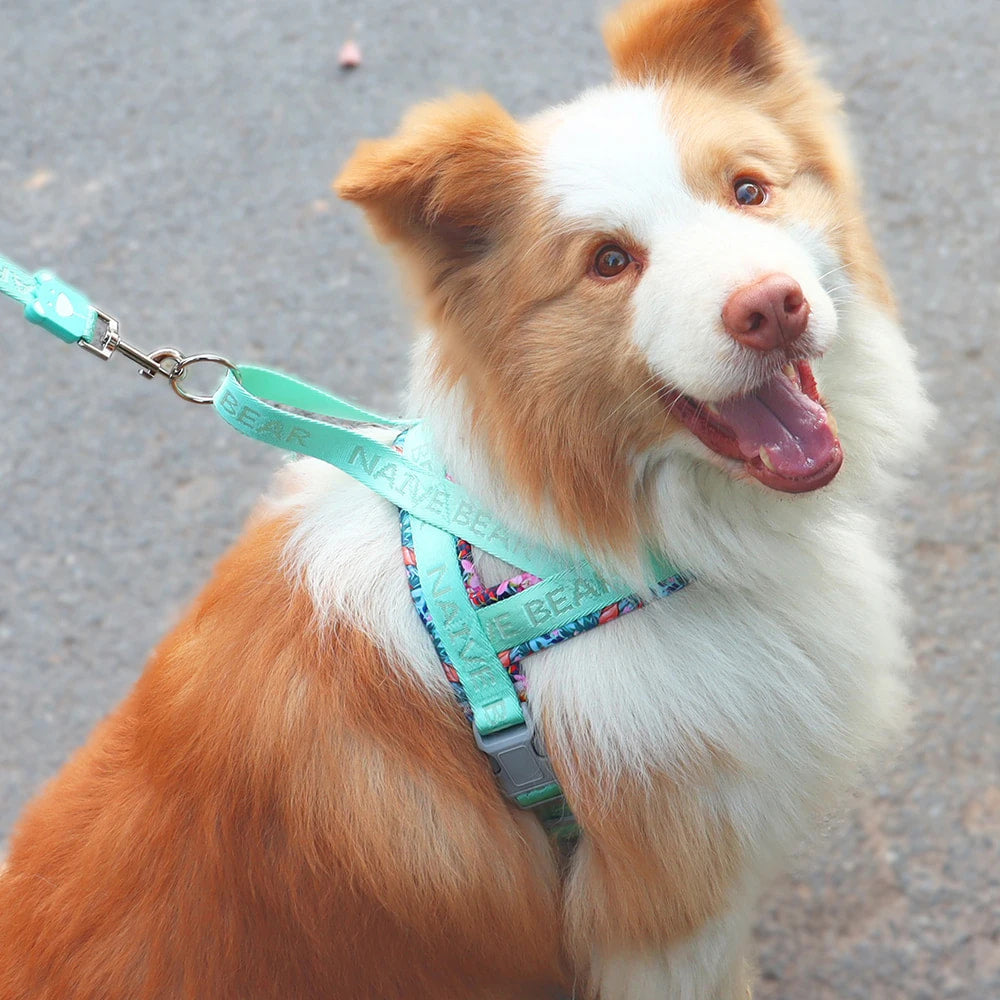 Stylish Dog Harness | Soft, Durable, and Adjustable Fit for Everyday Walks