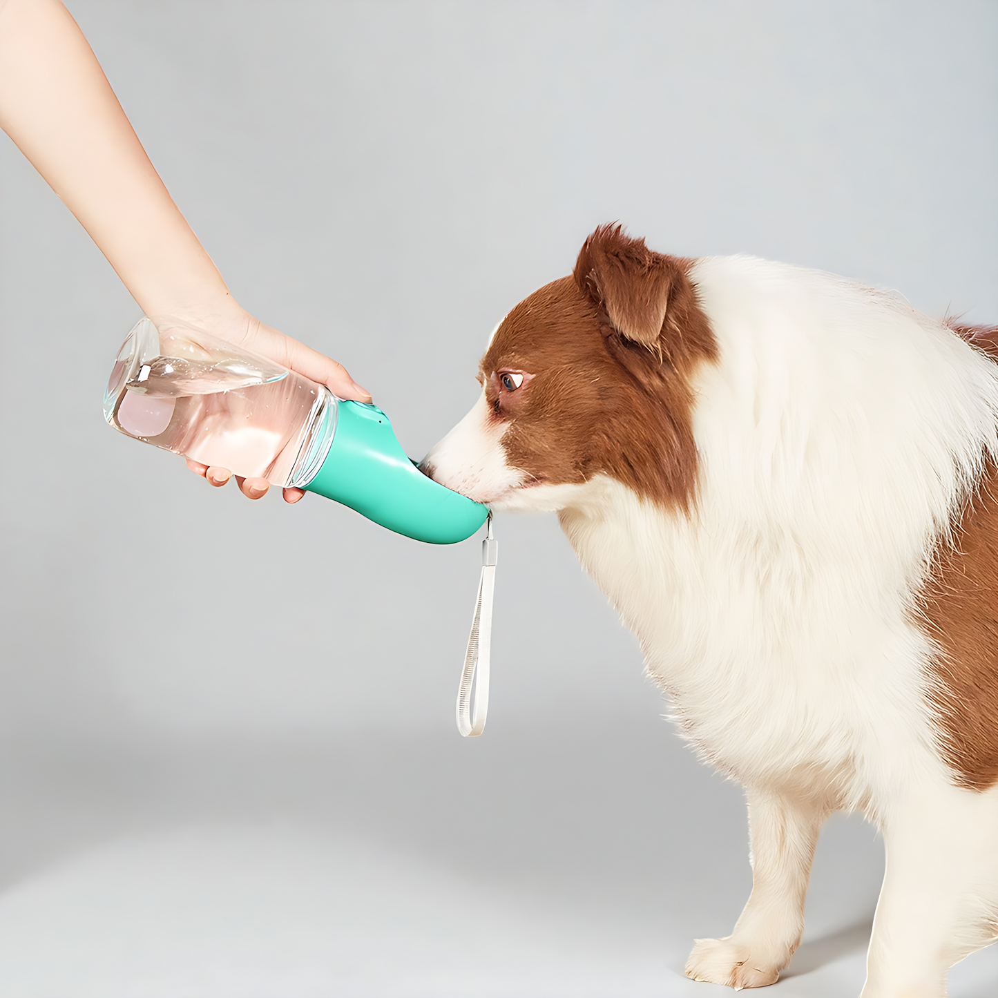 Portable Pet Water Bottle