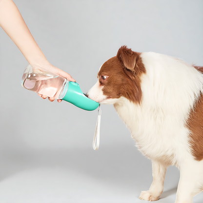 Portable Pet Water Bottle