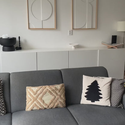 Stop Fighting Pet Hair Every Morning. Take Control in Seconds